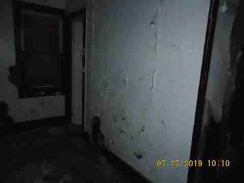 16737 Dolphin (15)_m.jpg